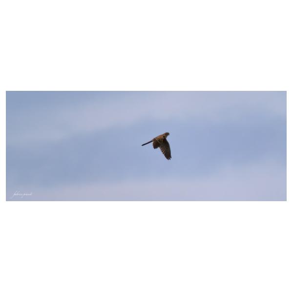 PHOTO84, CLUB, 84 , LUBERON